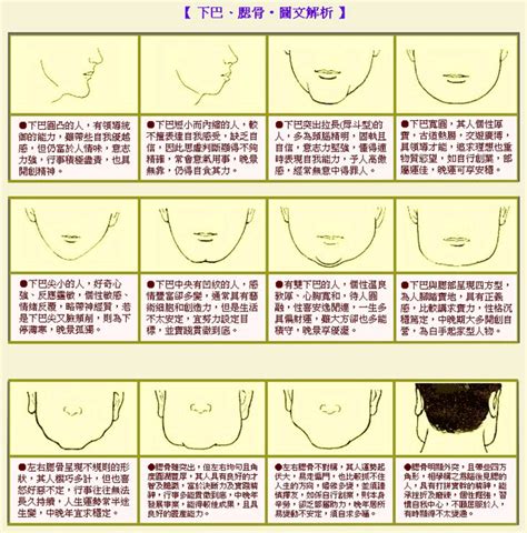 圓下巴面相|面相學：從下巴來看一個人的性格禍福 